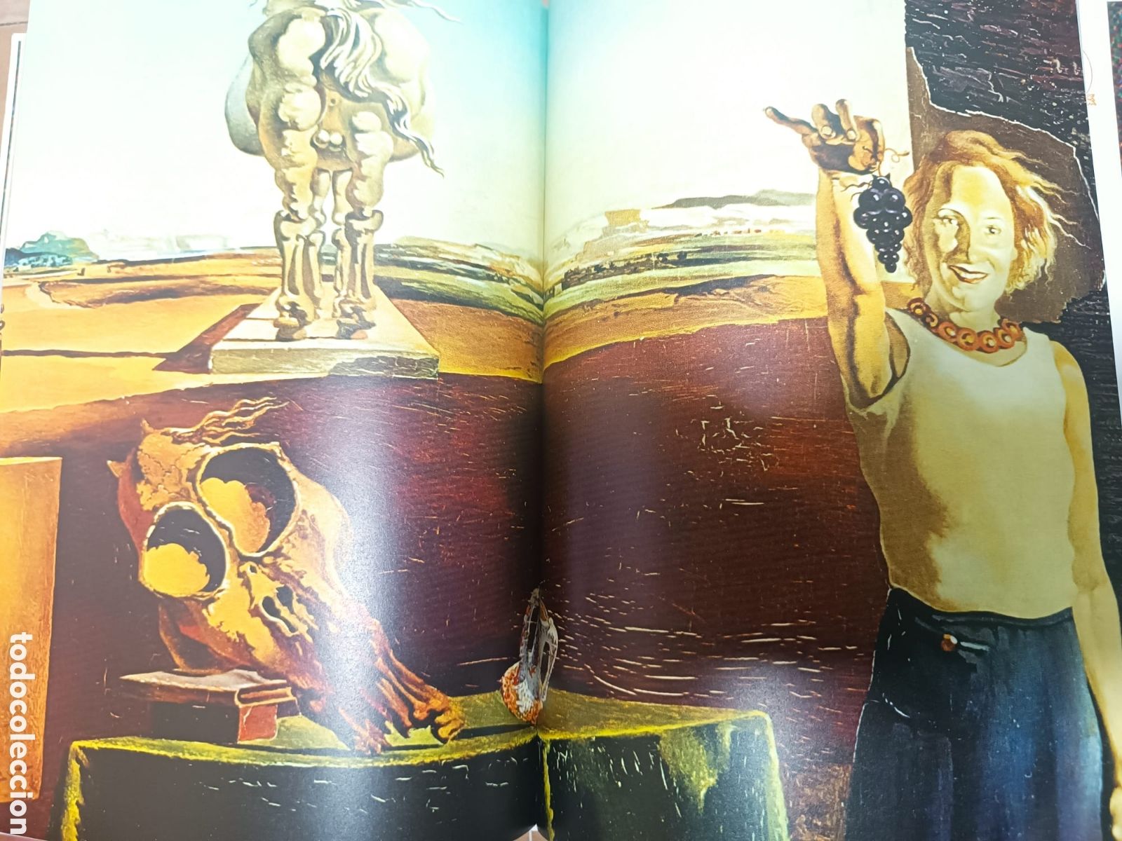 Libros: DALI, LES DINERS DE GALA, LOS VINOS DE GALA - Foto 19