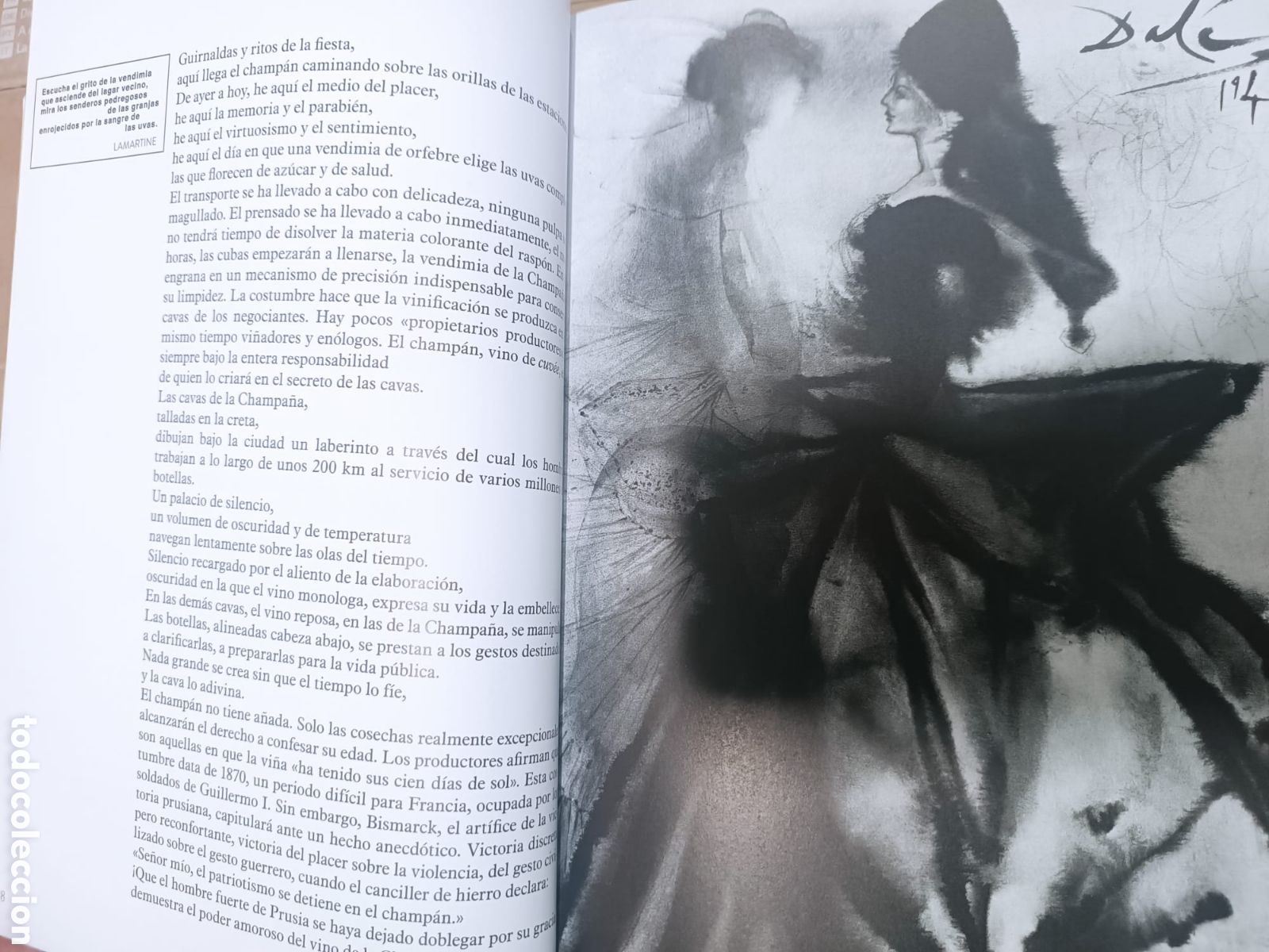 Libros: DALI, LES DINERS DE GALA, LOS VINOS DE GALA - Foto 27