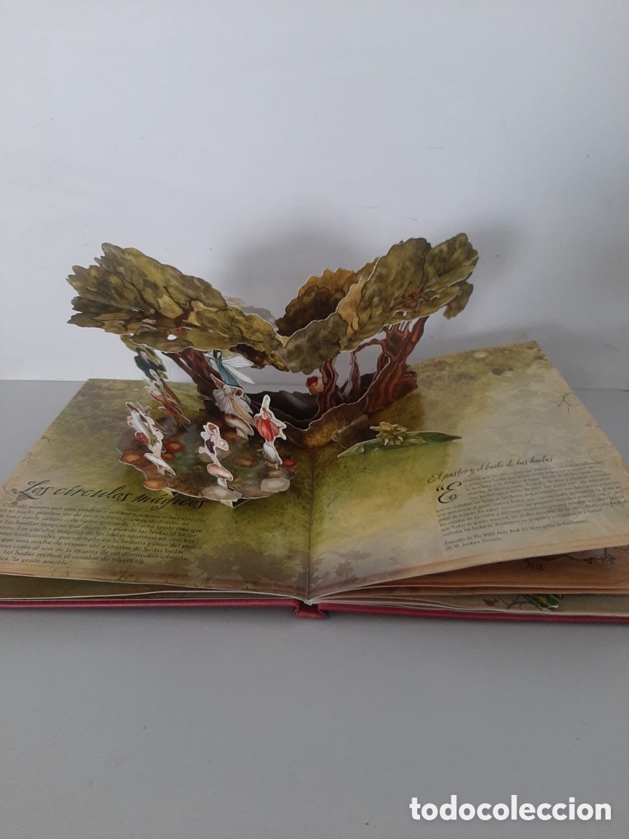 Libros: El libro de las adas diorama Susannah Marriott - Foto 2