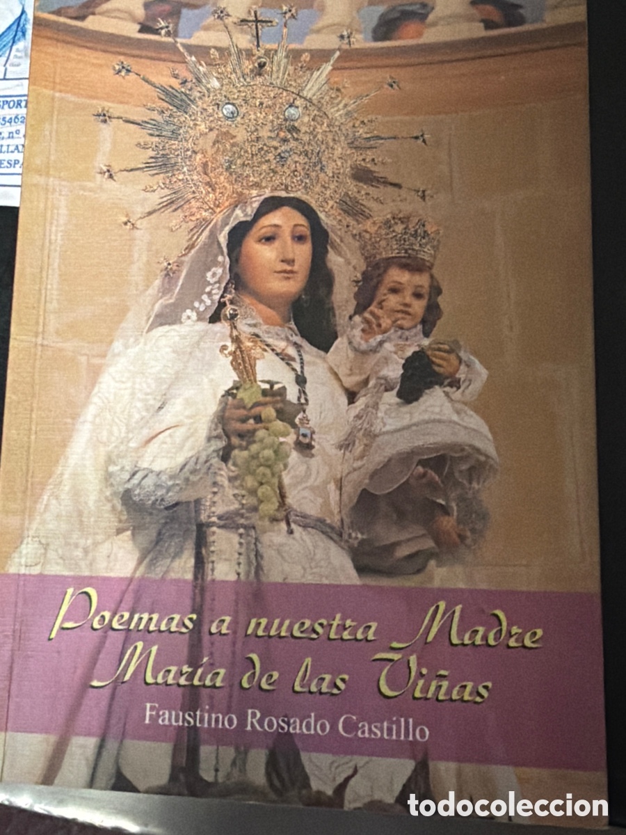 Libros: Poemas a nuestra se&ntilde;ora madre Mar&iacute;a de las vi&ntilde;as Faustino rosado