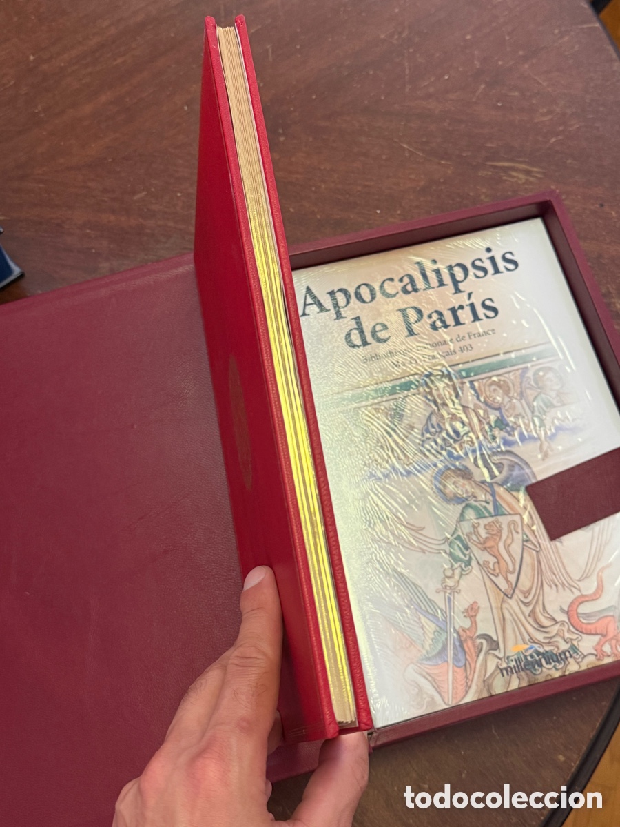 Libros: Apocalipsis de Paris - Foto 12