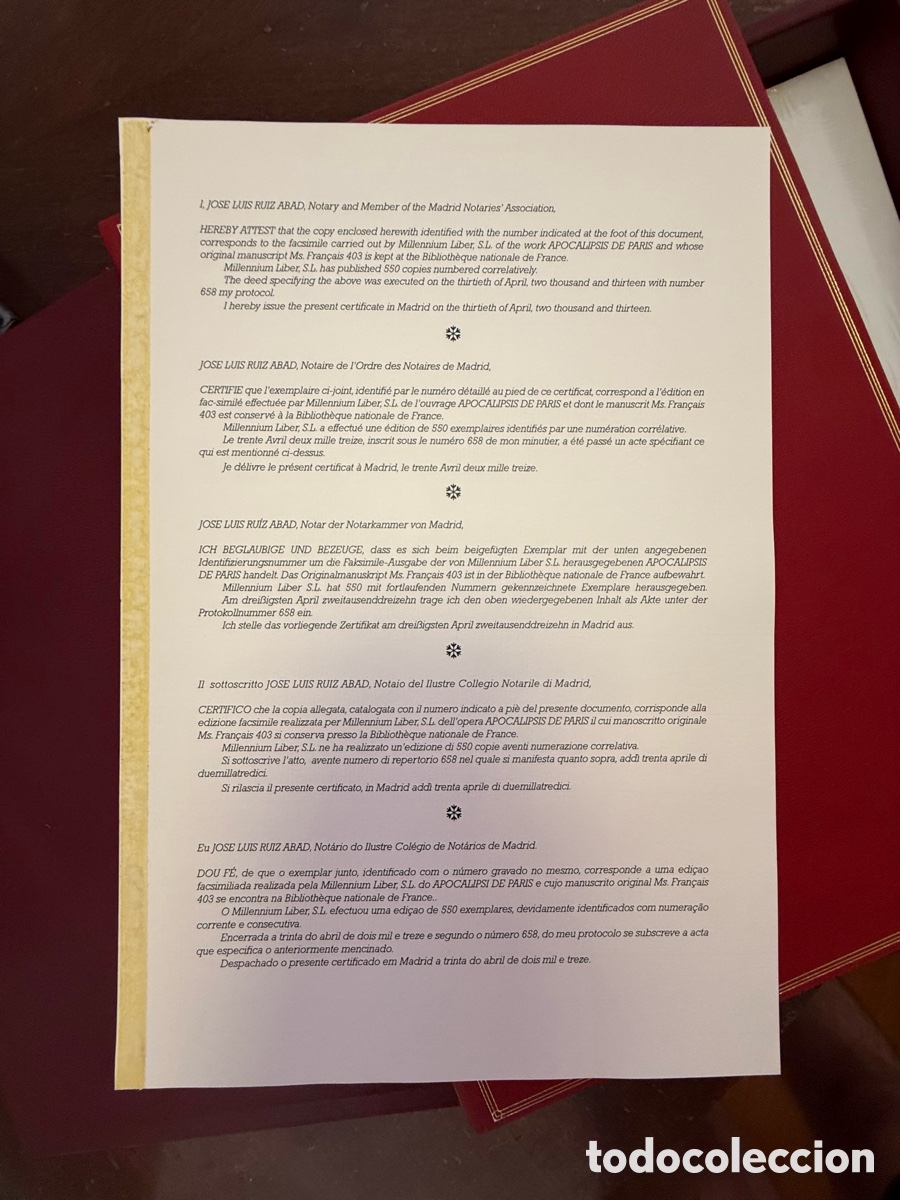 Libros: Apocalipsis de Paris - Foto 15