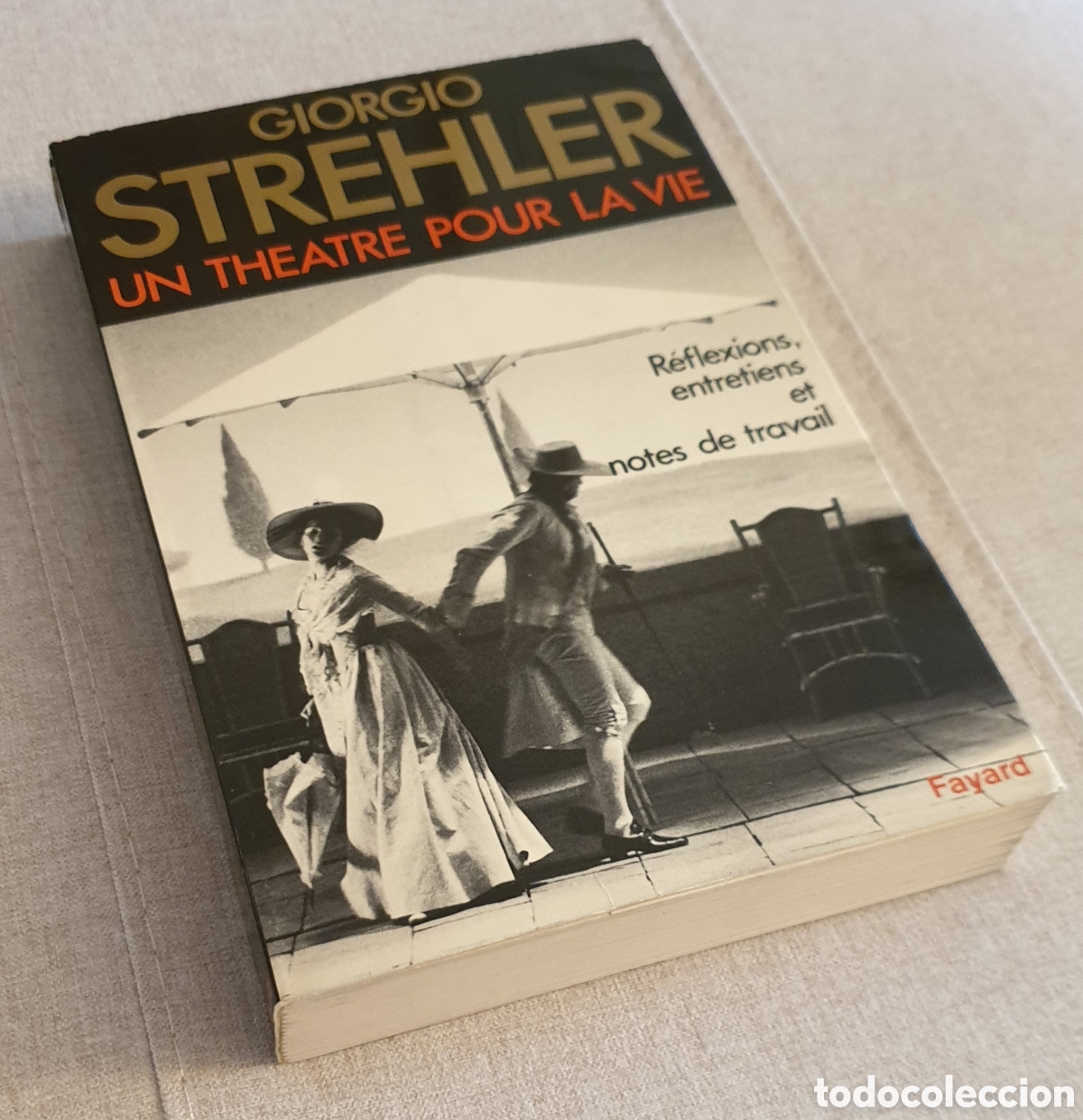 Libros: LIBRO: UN THEATRE POUR LA VIE