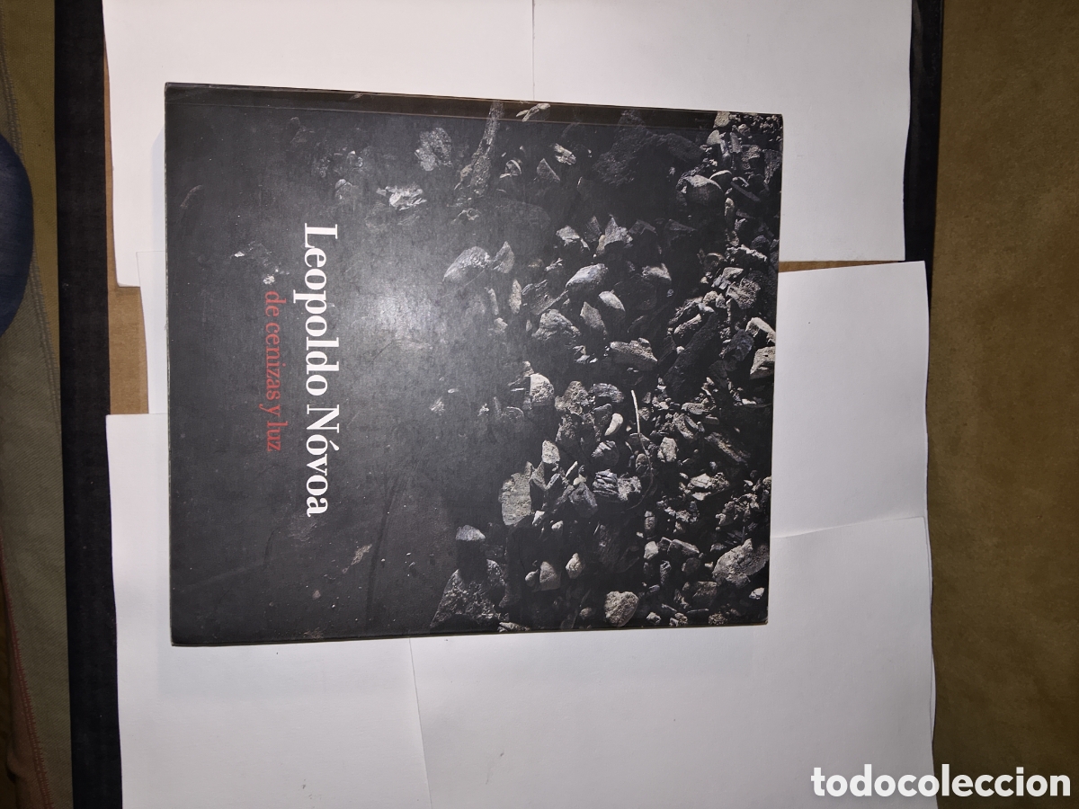 Libros: Leopoldo N&oacute;voa,de cenizas y luz.