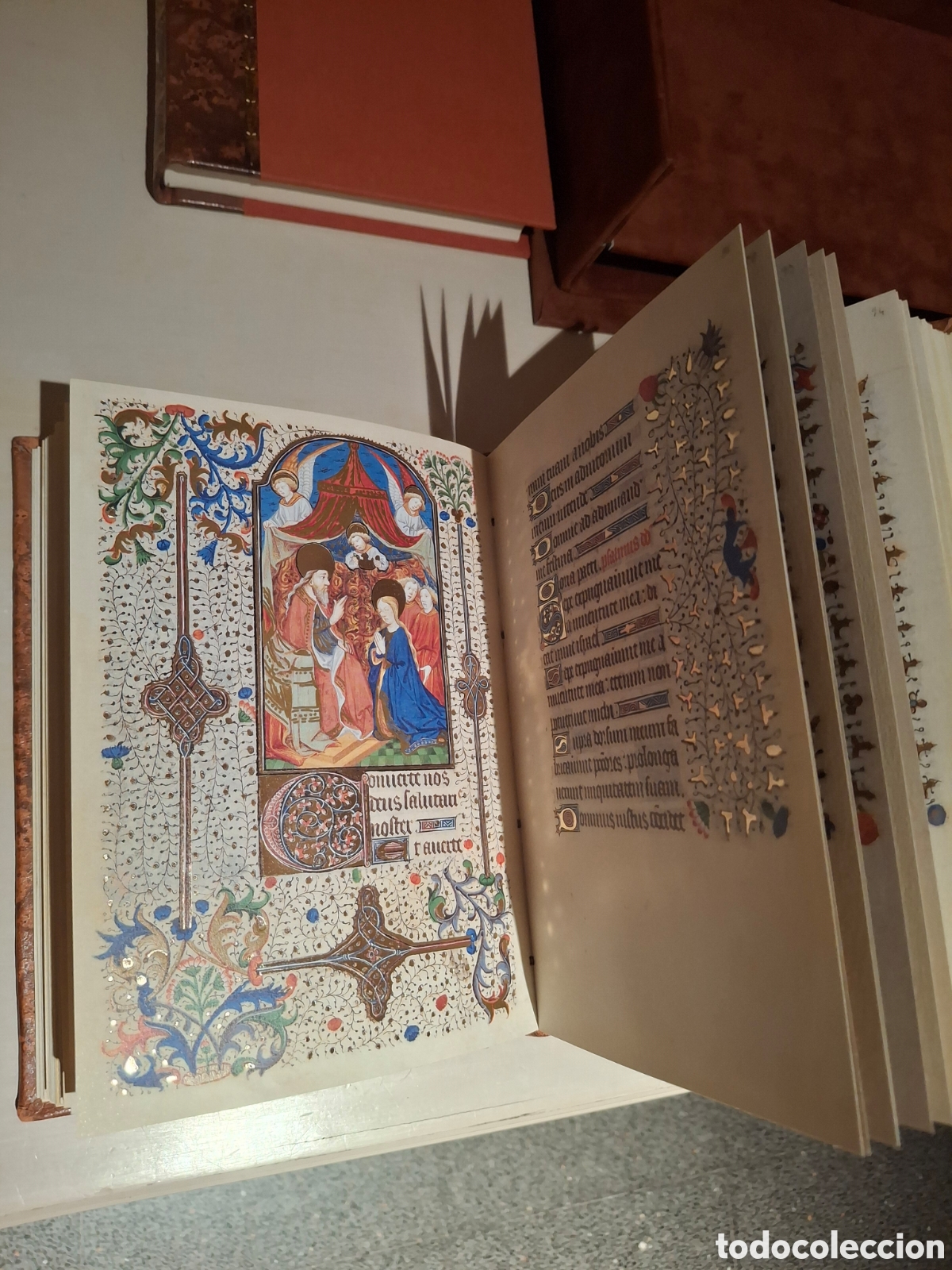 Libros: Libro de Horas de la Virgen Tejedora - Foto 7