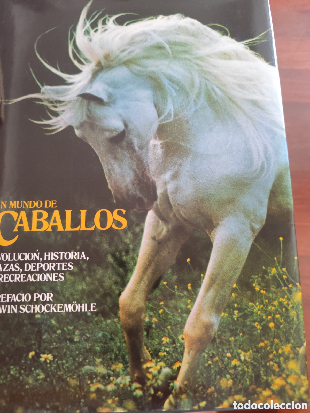 Libros: Un mundo de caballos