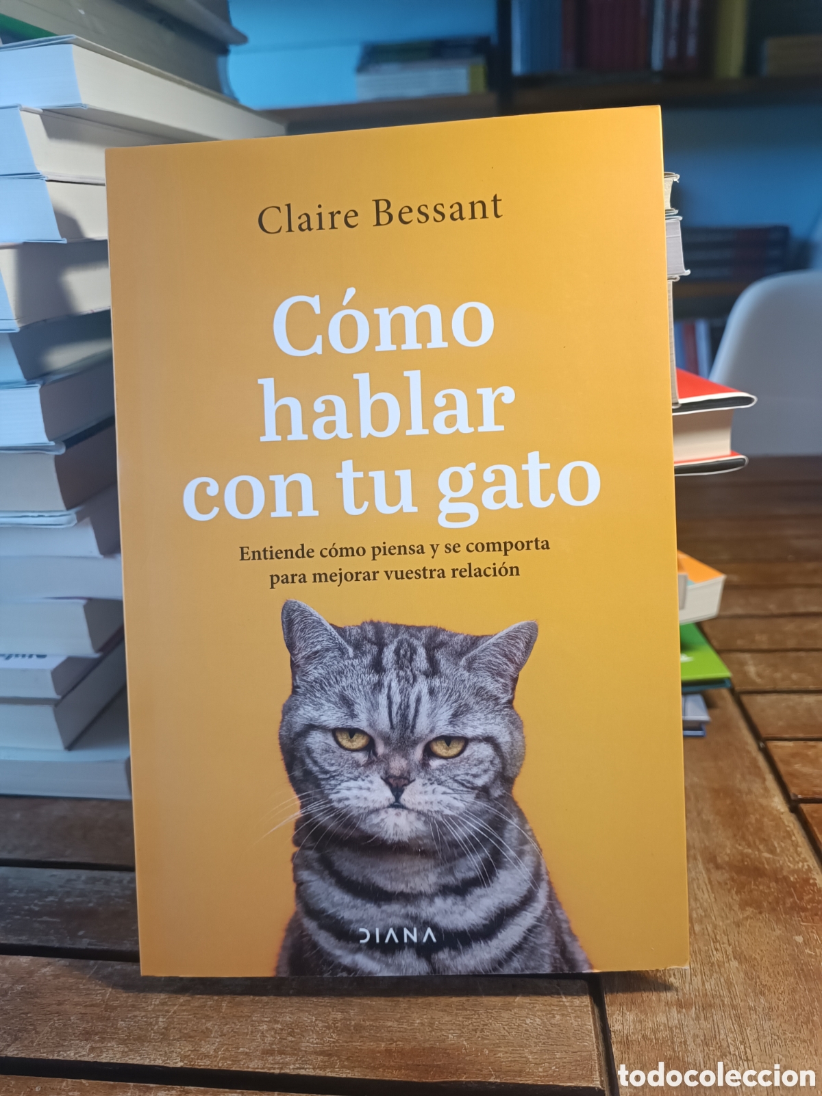 Libros: C&oacute;mo hablar con tu gato Claire bessant diana primera edici&oacute;n 2024