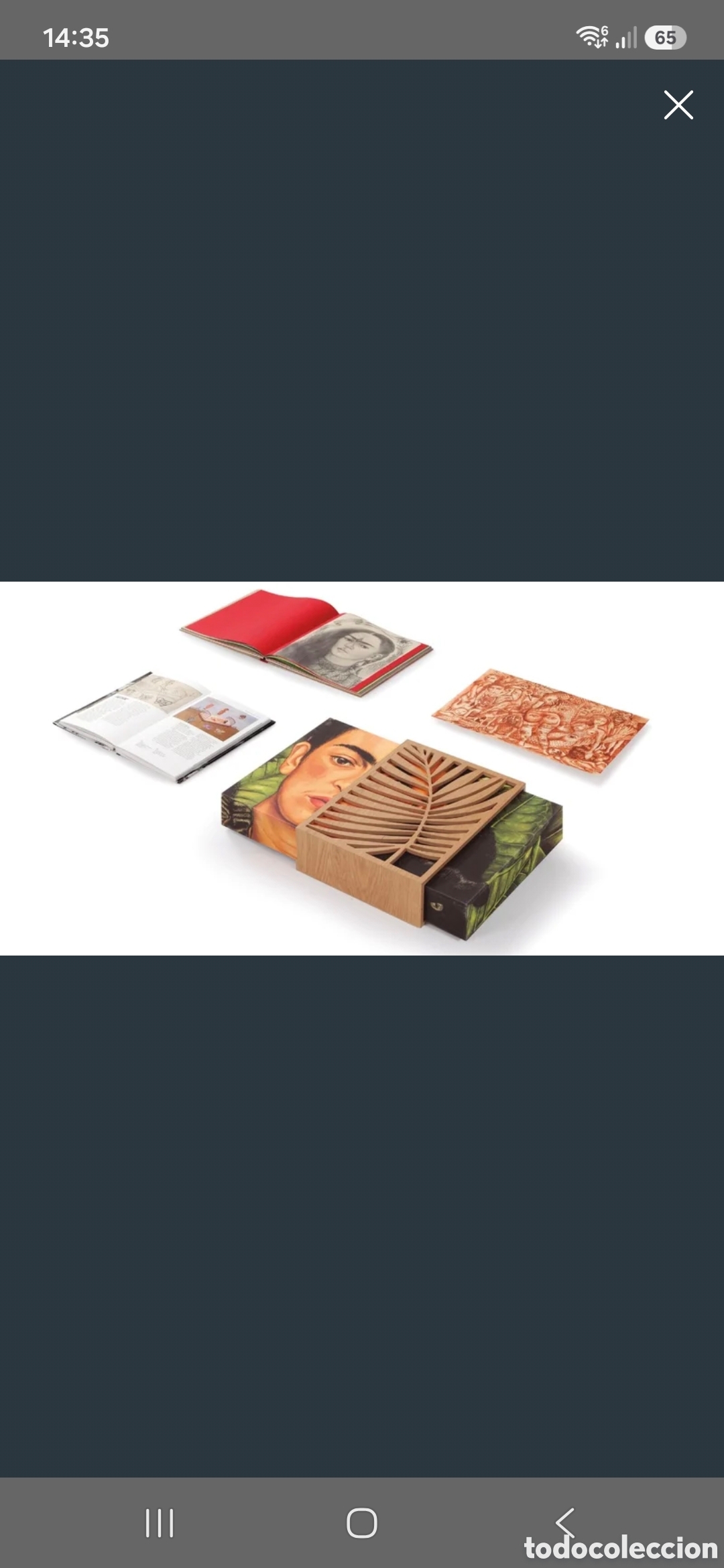 Libros: Los sue&ntilde;os de frida kahlo. - Foto 1