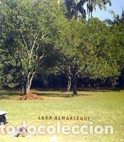 Libros: Lara Almarcegui: materiales de contrucci&oacute;n - Alm&aacute;rcegui, Lara