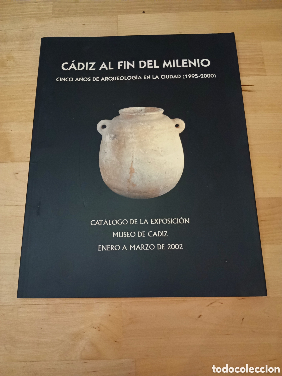 Libros: C&Aacute;DIZ AL FIN DEL MILENIO 5 A&Ntilde;OS DE ARQUEOLOG&Iacute;A EN LA CIUDAD (1995-2000) - CATALAGO DE EXPOSICI&Oacute;N
