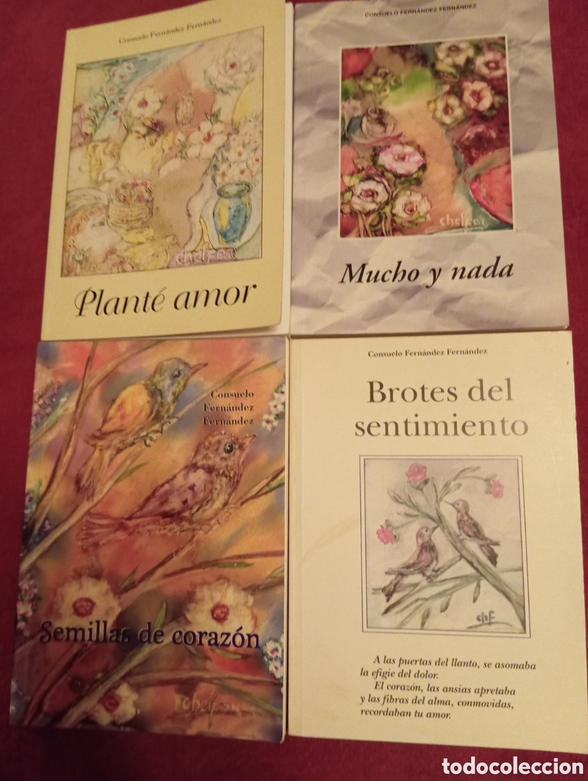 Libros: Poes&iacute;a Consuelo Fern&aacute;ndez Fern&aacute;ndez