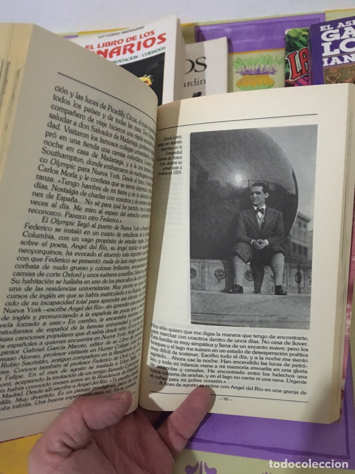 Libros: FEDERICO GARCIA LORCA (Jose Luis Cano) - Foto 2