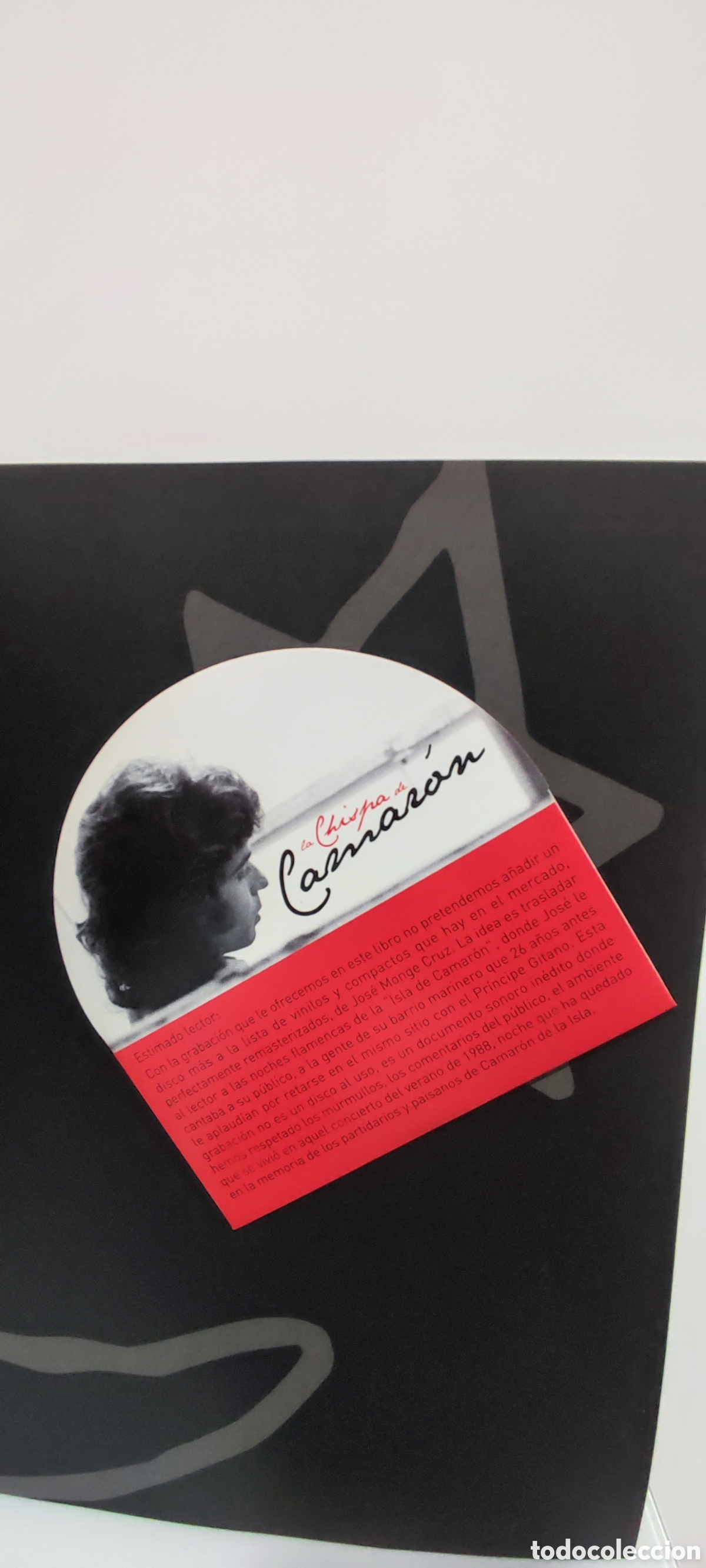 Libros: Biograf&iacute;a de Camar&oacute;n de la Isla - Foto 6