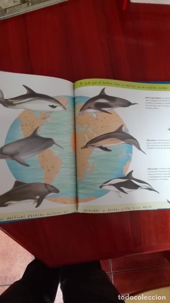Libros: Delfines - Foto 3