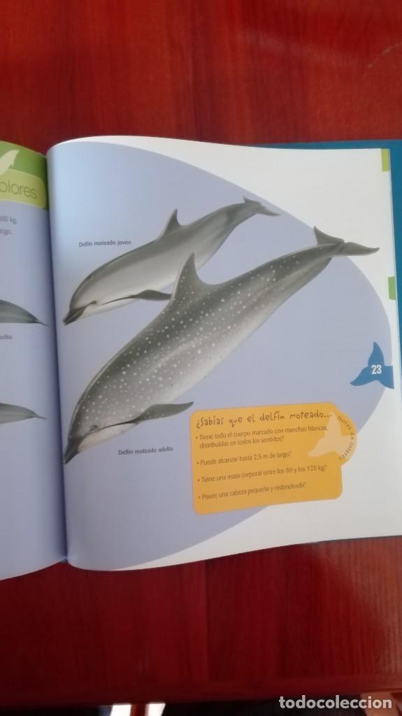 Libros: Delfines - Foto 4