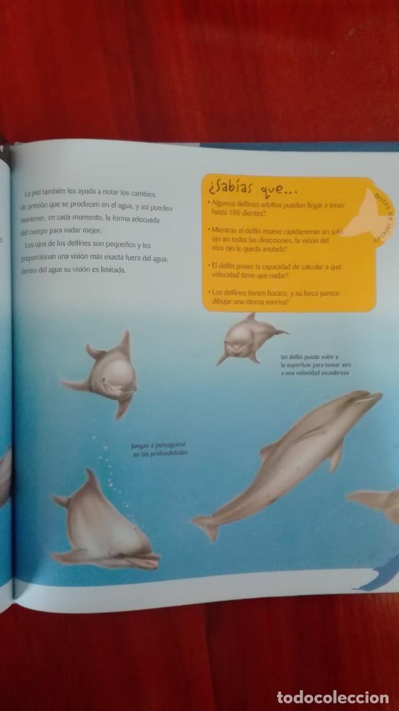 Libros: Delfines - Foto 5