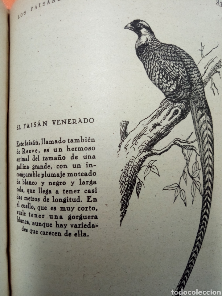 Libros: La riqueza en la mano LOS FAISANES - Foto 3