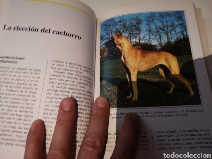 Libros: El Dogo Alem&aacute;n Perros de Raza - Foto 2