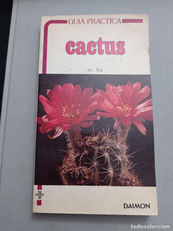 Libros: C&Aacute;CTUS EN FLOR. GU&Iacute;A PR&Aacute;CTICA. ED. DAIMON - Foto 1