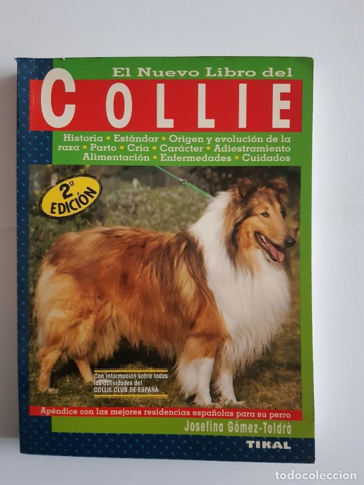 Libros: COLLIE EL NUEVO LIBRO DEL COLLIE - Foto 1