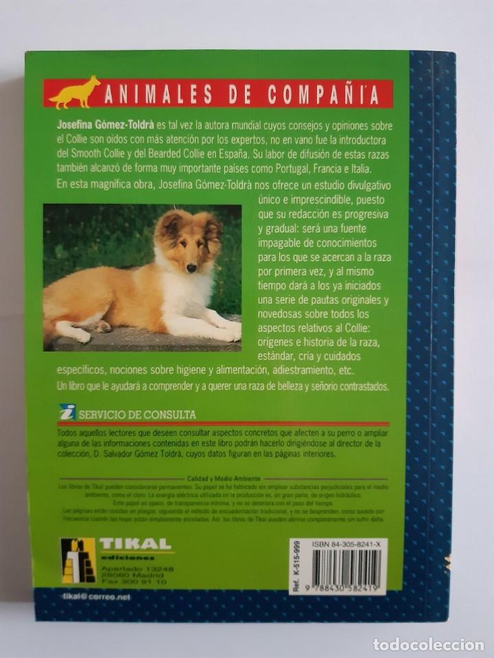 Libros: COLLIE EL NUEVO LIBRO DEL COLLIE - Foto 2