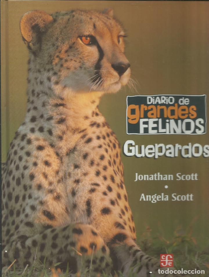 Libros: Guepardos. - Foto 1