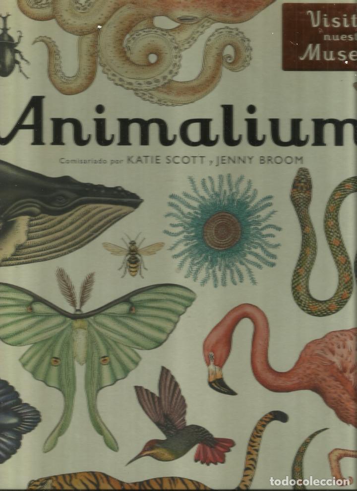 Libros: Animalium. - Foto 1