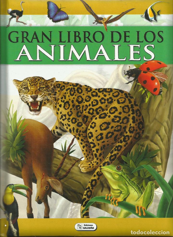 Libros: Gran libro de lso animales (Infantil). - Foto 1