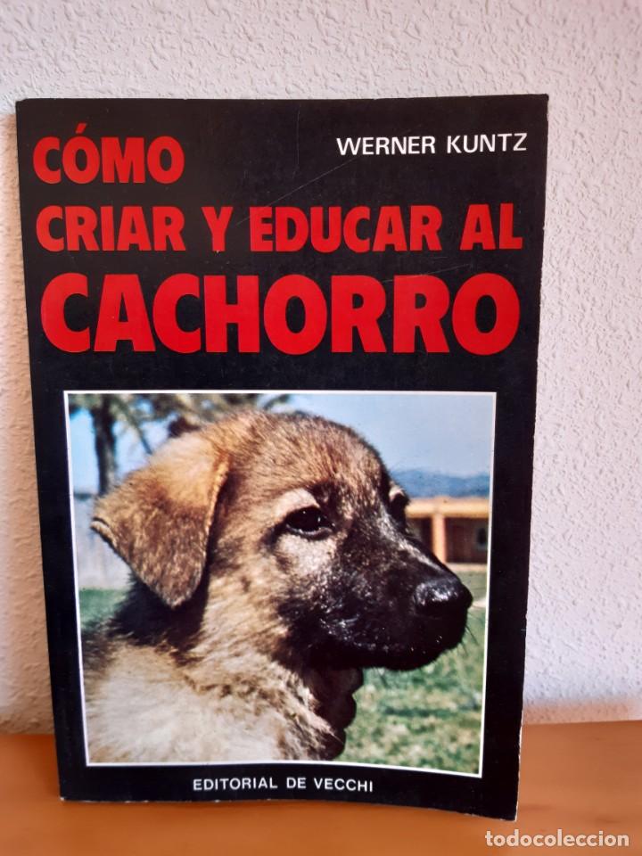 Libros: COMO CRIAR Y EDUCAR AL CACHORRO - PERROS WERNER KUNTZ - Foto 1