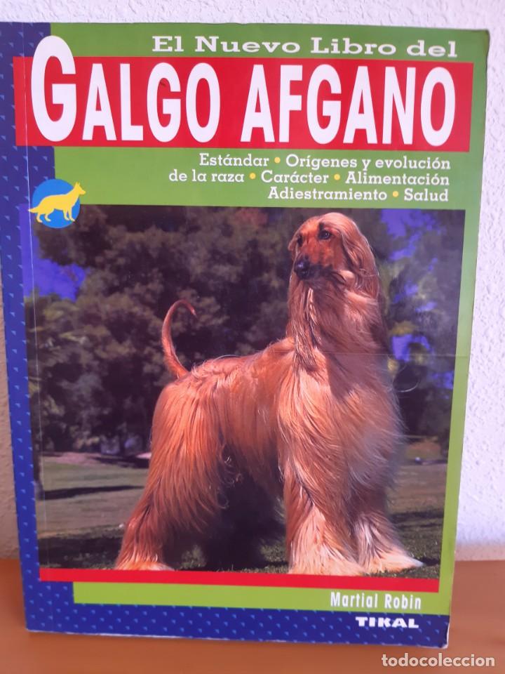 Libros: GALGO AFGANO MARTIAL ROBIN - Foto 1
