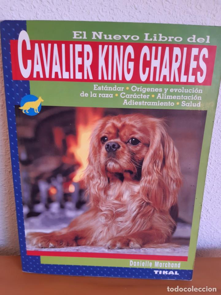 Libros: CAVALIER KING CHARLES DANIELLE MARCHAND - Foto 1