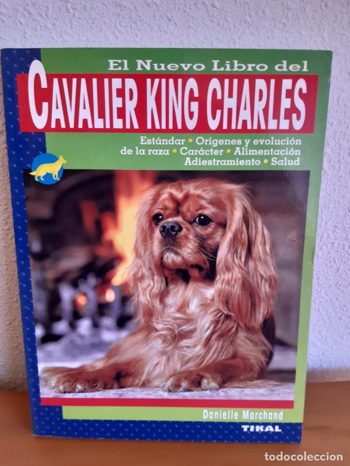 Libros: CAVALIER KING CHARLES DANIELLE MARCHAND - Foto 1