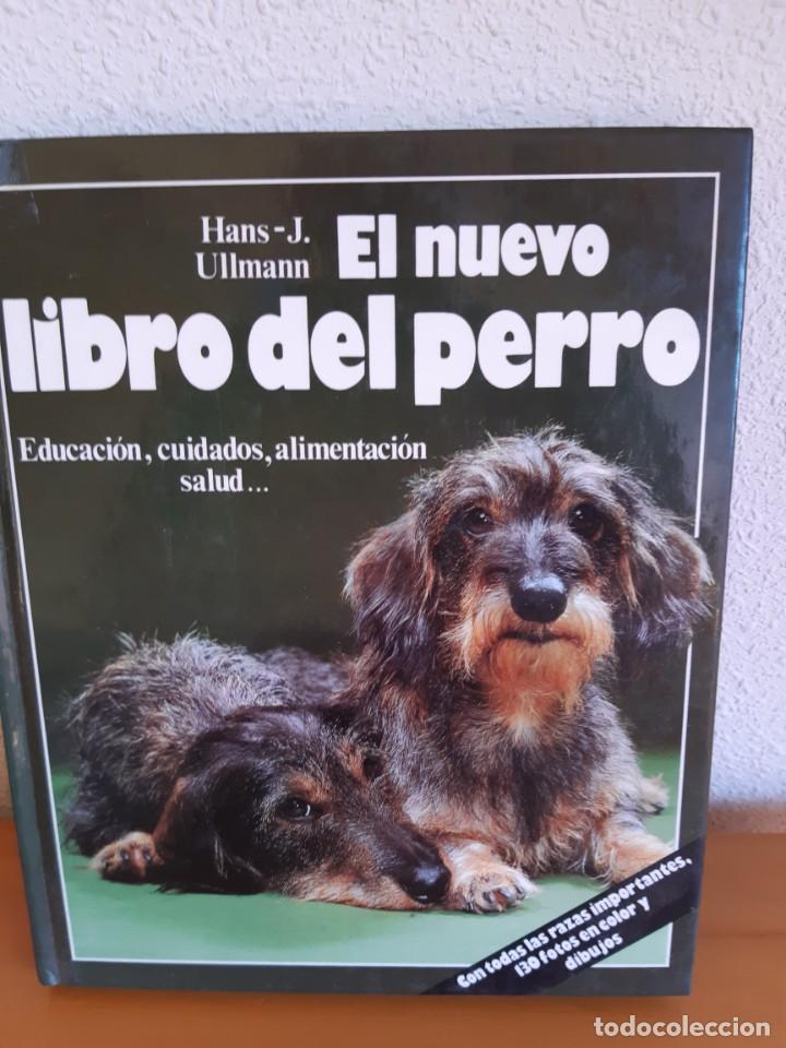 Libros: EL NUEVO LIBRO DEL PERRO HANS J ULLMANN - Foto 1