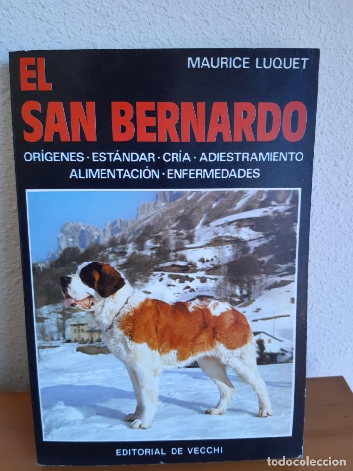Libros: EL SAN BERNARDO MAURICE LUQUET - Foto 1