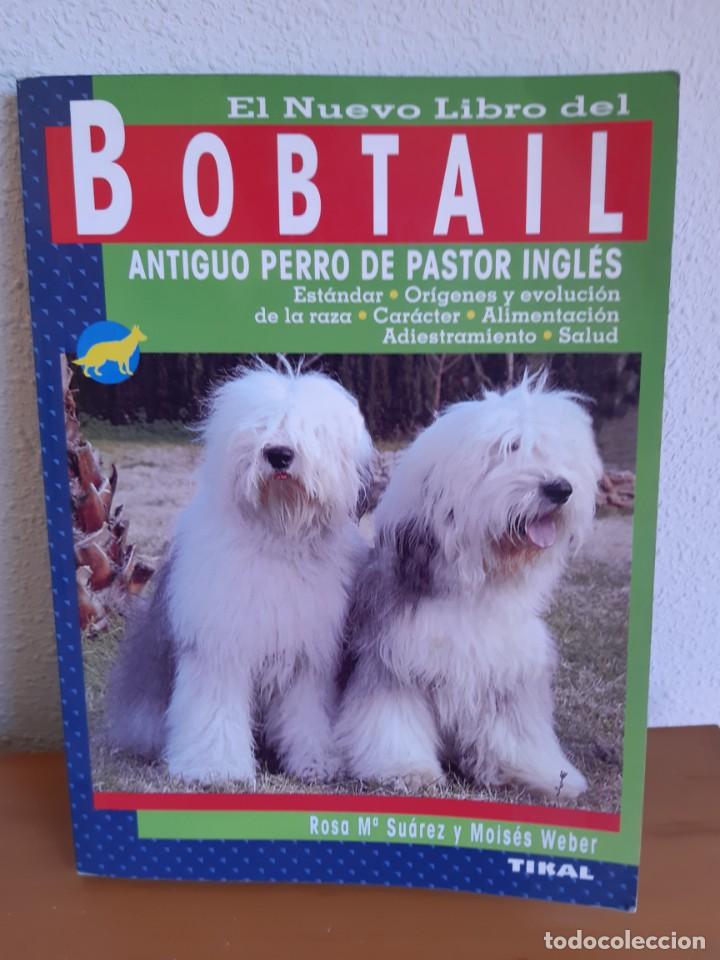 Libros: BOBTAIL ANTIGUO PERRO DE PASTOR INGLES - Foto 1