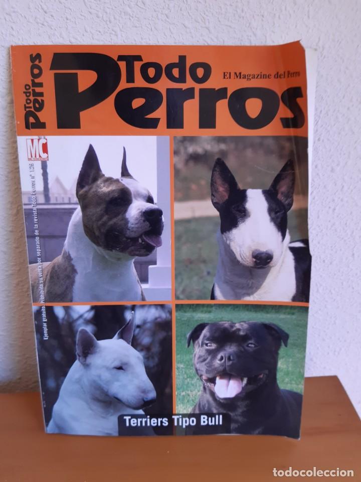 Libros: TERRIERS TIPO BULL - Foto 1