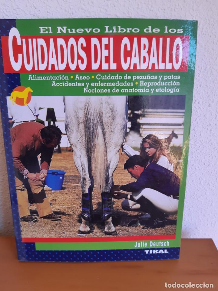 Libros: CUIDADOS DEL CABALLO JULIE DEISCH - Foto 1