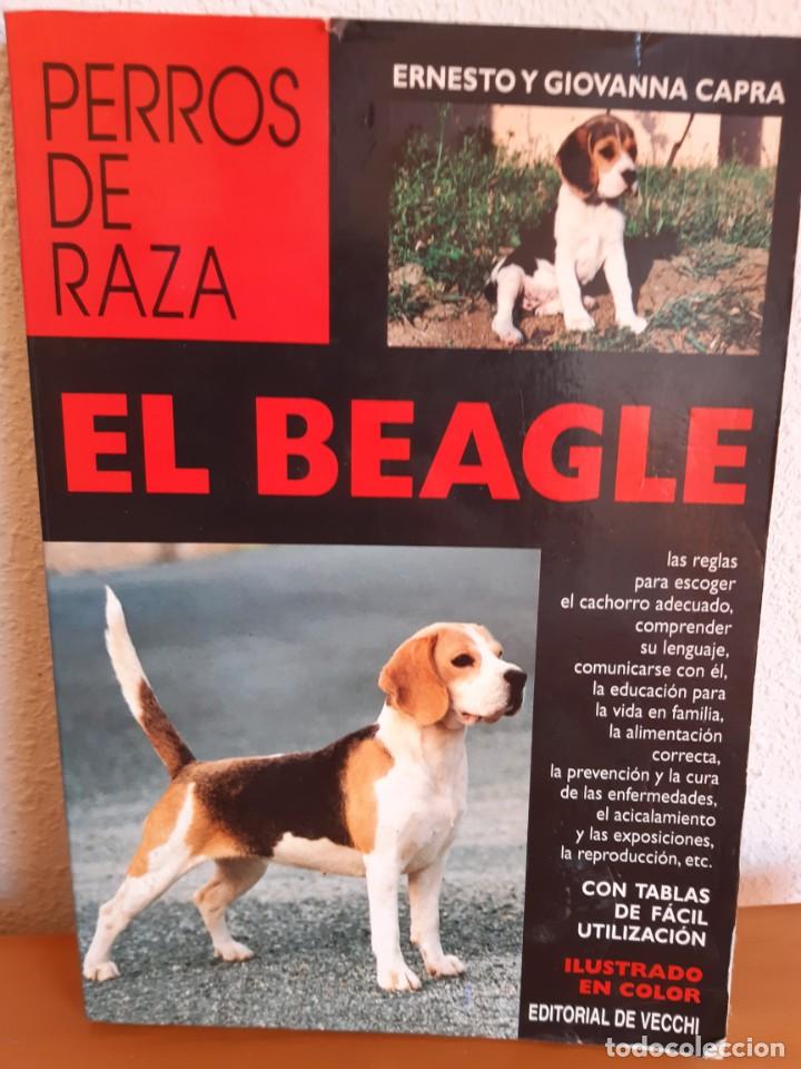 Libros: EL BEAGLE ERNESTO GIOVANNA CAPRA - Foto 1