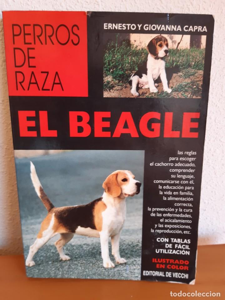 Libros: EL BEAGLE ERNESTO GIOVANNA CAPRA - Foto 1