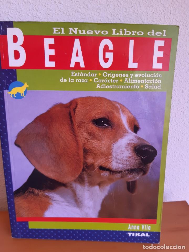 Libros: BEAGLE ANNA VILA - Foto 1