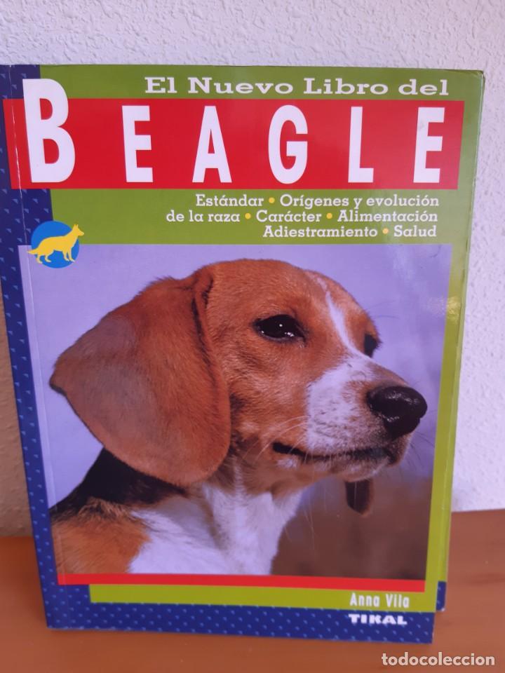 Libros: BEAGLE ANNA VILA - Foto 1