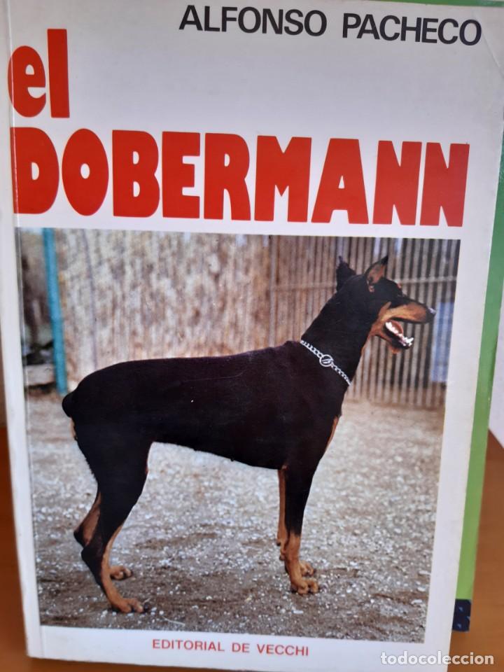 Libros: EL DOBERMANN ALFONSO PACHECO - Foto 1