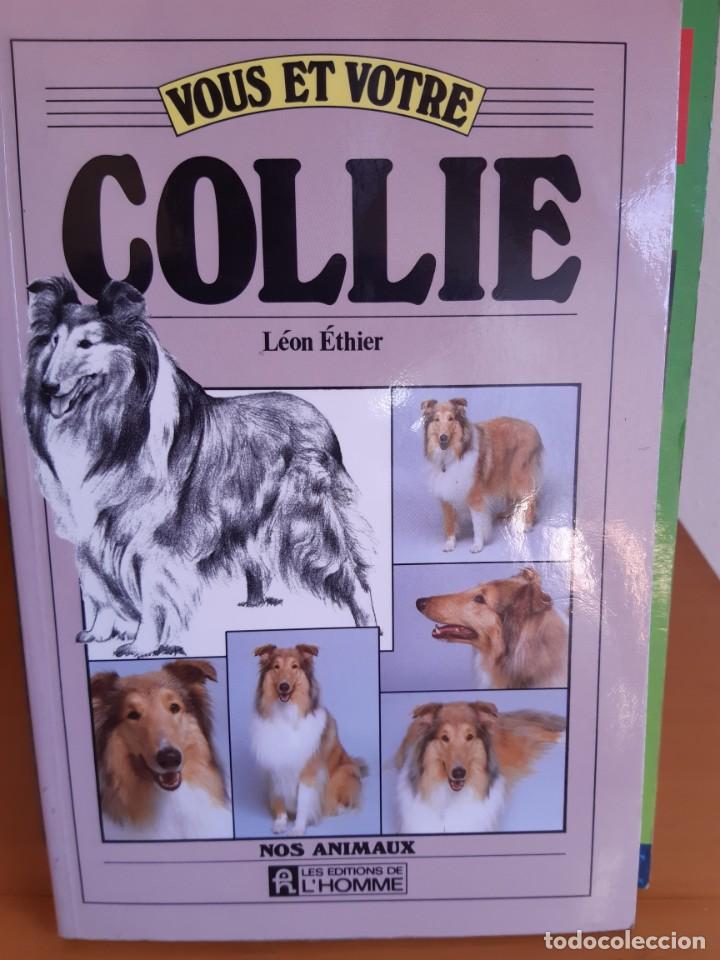 Libros: COLLIE LEON ETHIER - Foto 1