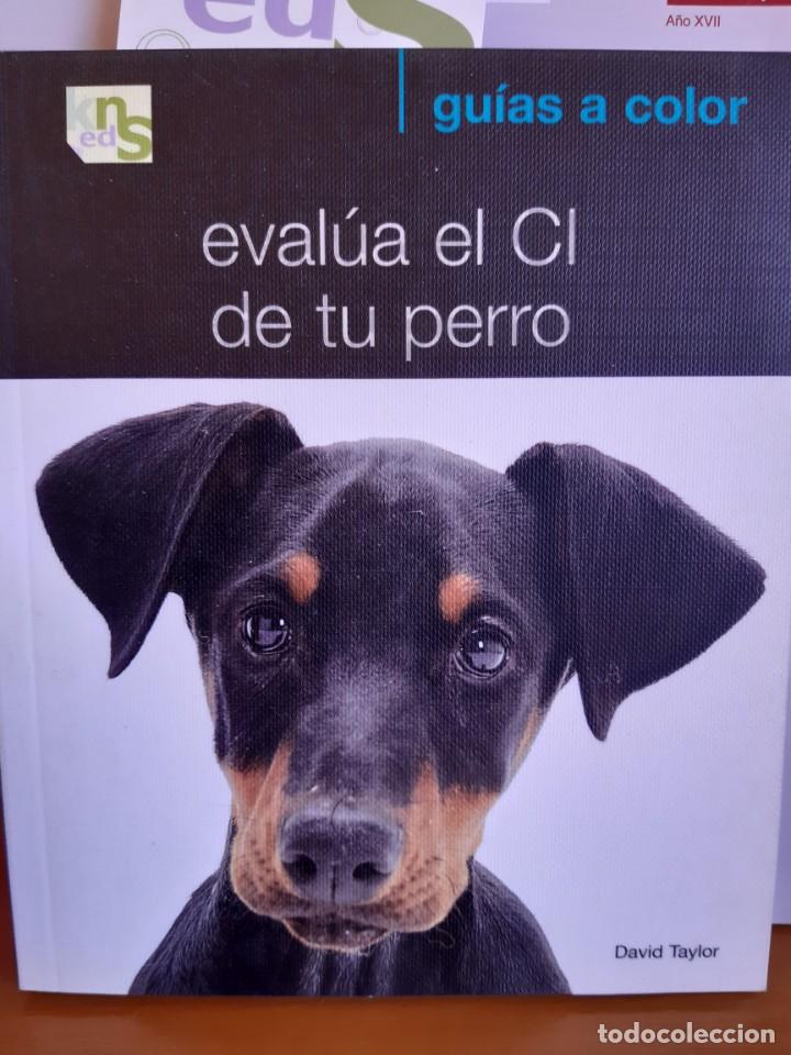 Libros: EVALUA EL CI DE TU PERRO DAVID TAYLOR - Foto 1
