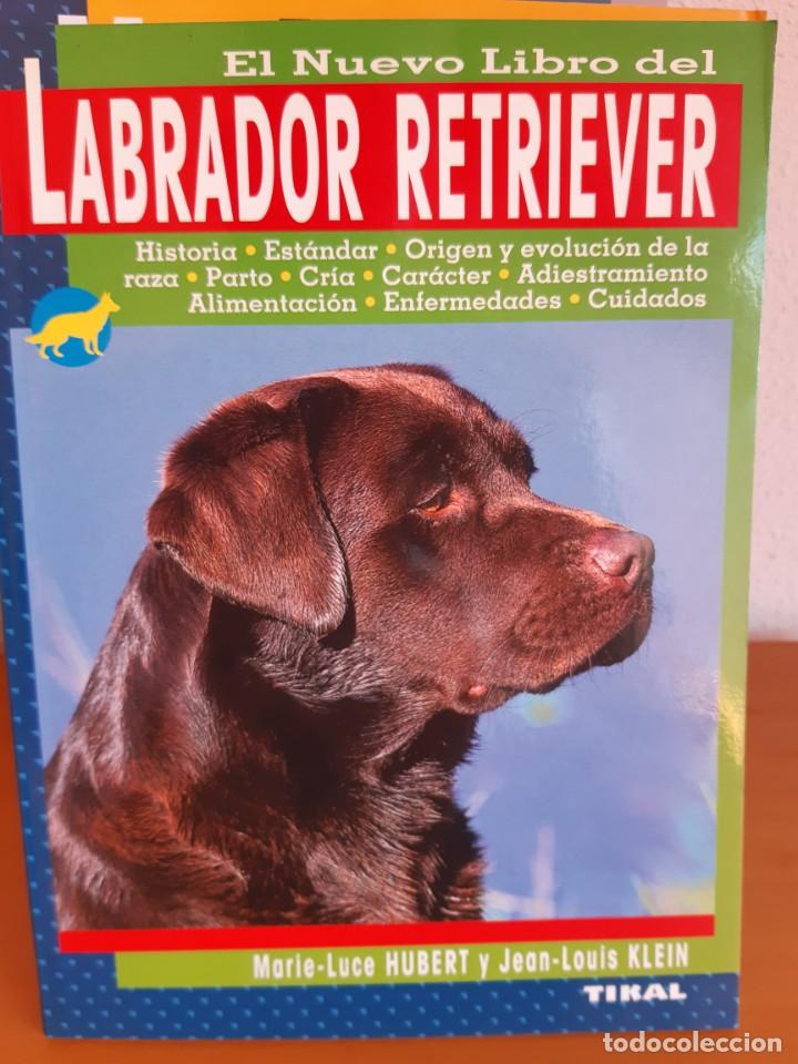 Libros: LABRADOR RETRIEVER MARIE LUCE HUBERT - Foto 1