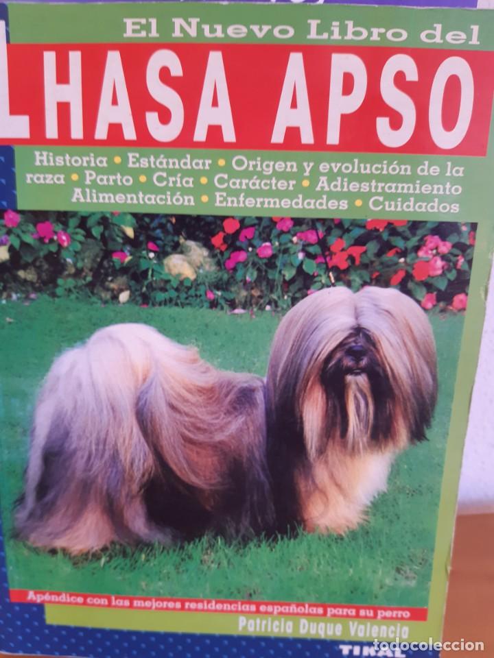 Libros: LHASA APSO - Foto 1