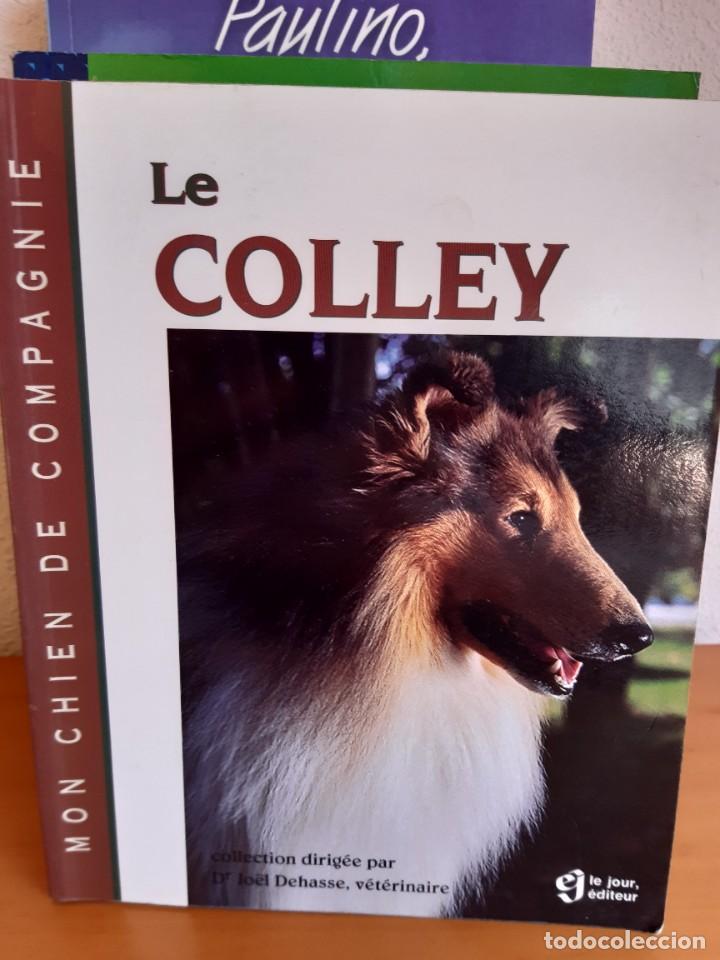 Libros: EL COLLIE LE COLLEY - Foto 1