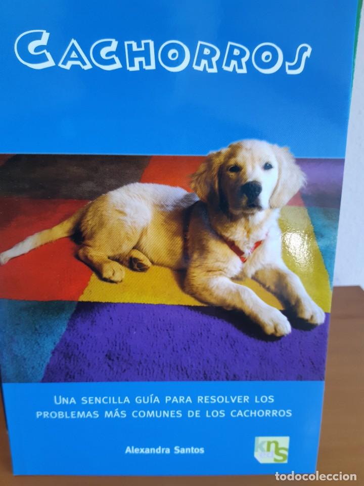 Libros: CACHORROS PERROS ALEXANDRA SANTOS - Foto 1