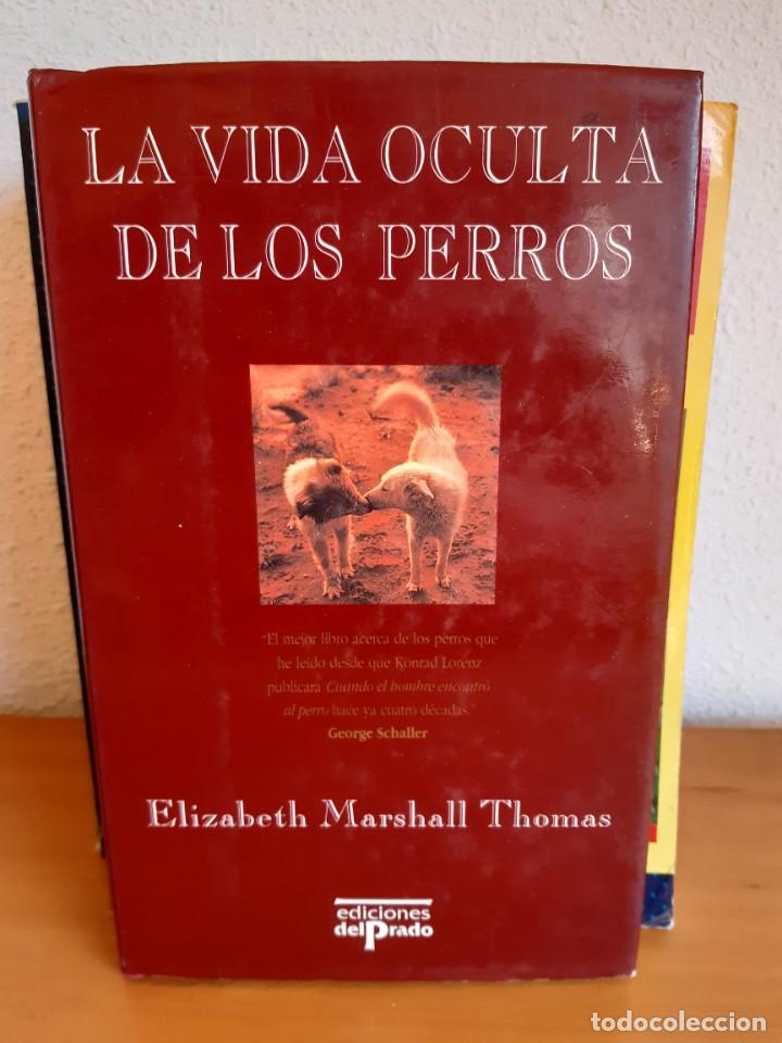 Libros: LA VIDA OCULTA DE LOS PERROS ELIZABETH MARSHALL THOMAS - Foto 1