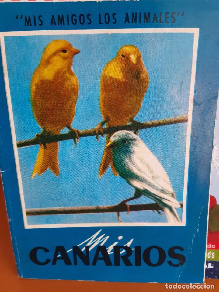 Libros: MIS CANARIOS MIS AMIGOS LOS ANIMALES - Foto 1